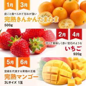 ふるさと納税 【 12ヶ月定期便 】 デラック...の詳細画像1