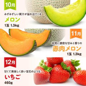 ふるさと納税 【 12ヶ月定期便 】 デラック...の詳細画像3