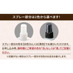 ふるさと納税 有田焼 ミストスプレー 醤油さし...の詳細画像3