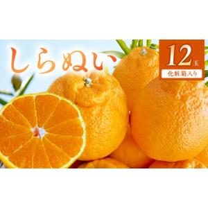 ふるさと納税 【2027年先行受付】しらぬい(デ...の商品画像