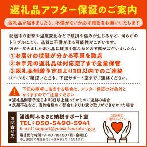 ふるさと納税 【2027年先行受付】しらぬい(...の詳細画像4