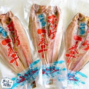 ふるさと納税 13-81 高級!こだわり一夜干し...の商品画像