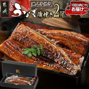 ふるさと納税 職人手焼きの本格うなぎ蒲焼き2尾≪みやこんじょ特急便≫〔MJ-33-003-2-Q〕_(都城市) 国産 本格 うなぎ 鰻 蒲焼 宮崎 うなぎ 宮崎県都城市
