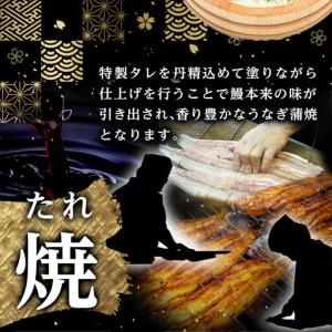 ふるさと納税 職人手焼きの本格うなぎ蒲焼き2尾...の詳細画像1