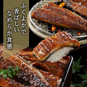ふるさと納税 職人手焼きの本格うなぎ蒲焼き2尾...の詳細画像2