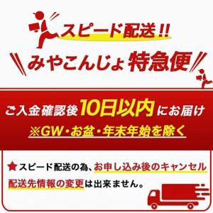 ふるさと納税 職人手焼きの本格うなぎ蒲焼き2尾...の詳細画像4