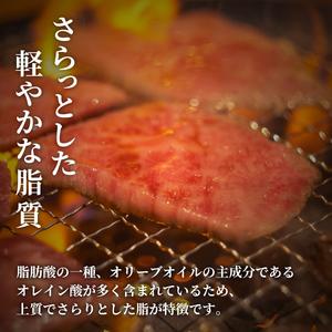 ふるさと納税 Y289 【和牛セレブ】鳥取和牛...の詳細画像2