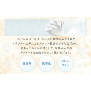 ふるさと納税 無添加 泡の石けんボディソープ ...の詳細画像4