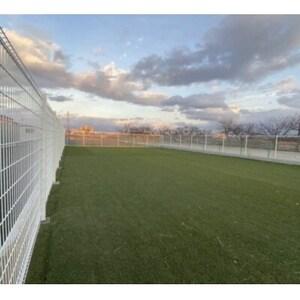 ふるさと納税 殺処分ゼロを目指そう!ドッグラン回数券12回分【1525983】 愛知県安城市