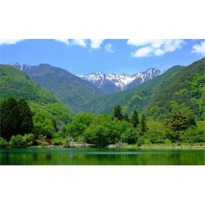 ふるさと納税 ごま油 6ヶ月連続お届け 国産ご...の詳細画像3