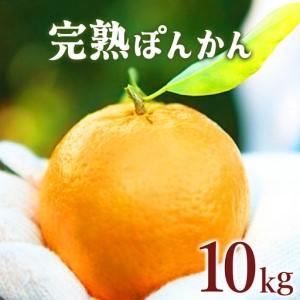 ふるさと納税 完熟ぽんかん＜10kg＞ 【株式会社フクチャンFARM】 高知県東洋町