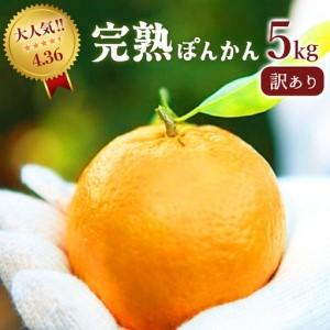 ふるさと納税 訳アリ完熟ぽんかん 5kg 【株式会社フクチャンFARM】 高知県東洋町