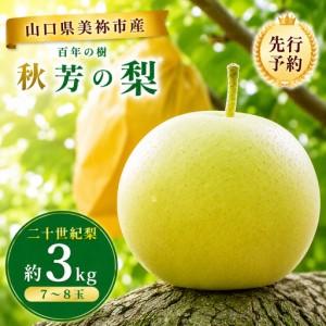 ふるさと納税 美祢市 二十世紀梨 （約3kg）【先行予約：9月より発送予定】 山口県美祢市