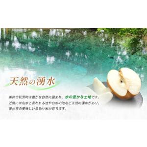 ふるさと納税 美祢市 二十世紀梨 (約3kg)...の詳細画像3
