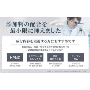 ふるさと納税 100年時代応援サプリNMN30...の詳細画像2