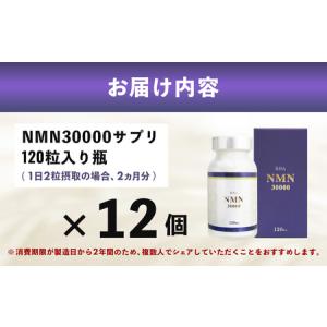 ふるさと納税 100年時代応援サプリNMN30...の詳細画像4