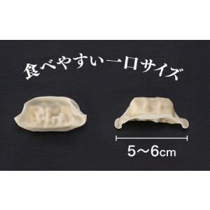 ふるさと納税 ZI142.福岡・博多の味『博多...の詳細画像3