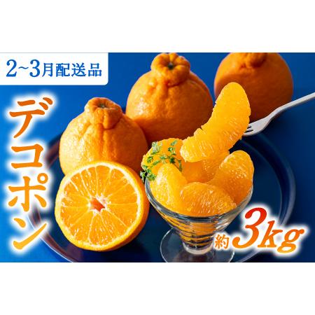 ふるさと納税 AA075.【昨年も大人気】デコポン(約3kg程度)☆2026年配送分予約受付中☆ 福...