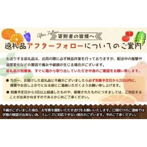 ふるさと納税 【梅干・梅酒用】熟南高梅 10k...の詳細画像3