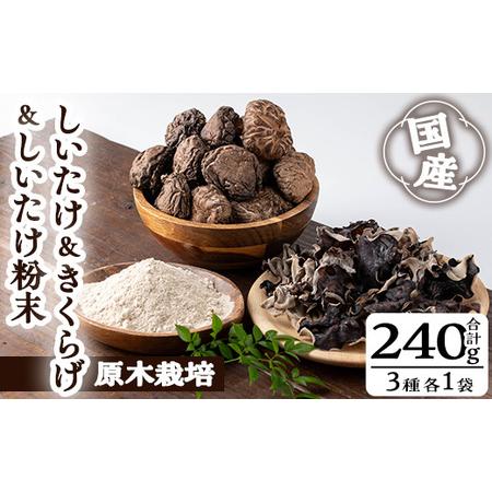 ふるさと納税 きのこ 国産 しいたけ 粉末 きくらげ セット(合計240g・3種)【九南サービス(タ...