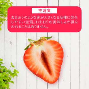 ふるさと納税 人気1位獲得謝礼品★限定品★博多...の詳細画像2