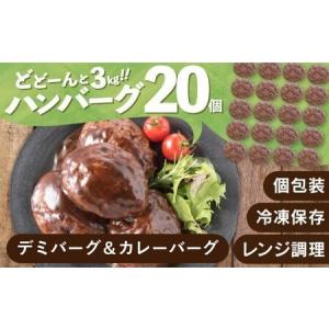 ふるさと納税 AB417.累計４０万個突破記念！どーんと3kg!デミ＆カレーハンバーグセット【150g×20個】【訳あり】【北海道・沖縄・離島へ配送.. 福岡県新宮町