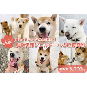 ふるさと納税 【お礼品なし】殺処分ゼロとその先を目指して！　動物保護シェルターへの応援寄附　3,000円 岩手県矢巾町