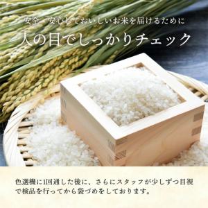 ふるさと納税 【無洗米】令和7年産 開運米 コ...の詳細画像2