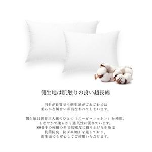 ふるさと納税 800FPダウンピロー(ポーラン...の詳細画像2