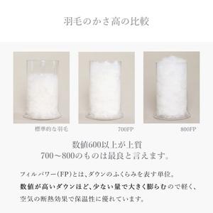 ふるさと納税 800FPダウンピロー(ポーラン...の詳細画像3