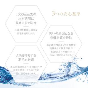 ふるさと納税 800FPダウンピロー(ポーラン...の詳細画像4