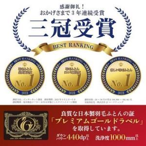 ふるさと納税 二枚合わせ羽毛布団 (ダブル・白...の詳細画像1