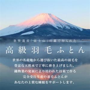 ふるさと納税 二枚合わせ羽毛布団 (ダブル・白...の詳細画像3