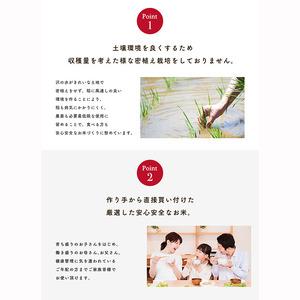 ふるさと納税 《 定期便 》 《令和8年新米先...の詳細画像3