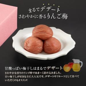 ふるさと納税 紀州南高梅 徳用 りんご梅 1....の詳細画像2