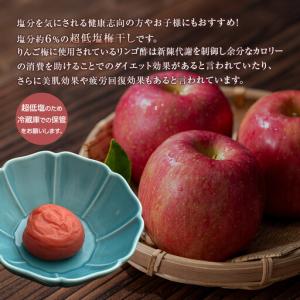 ふるさと納税 紀州南高梅 徳用 りんご梅 1....の詳細画像3