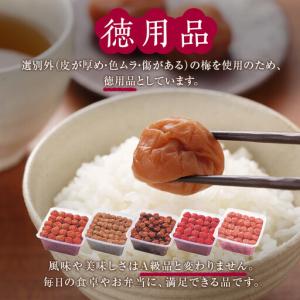 ふるさと納税 紀州南高梅 徳用 りんご梅 1....の詳細画像4