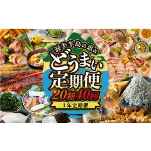 ふるさと納税 【定期便】渥美半島の恵み 20種 40回 12 カ月 1年定期便 愛知県田原市