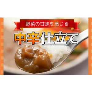 ふるさと納税 得うまカレー(レトルト)180g...の詳細画像1