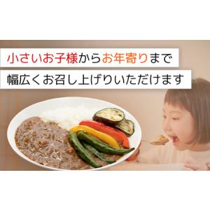 ふるさと納税 得うまカレー(レトルト)180g...の詳細画像3