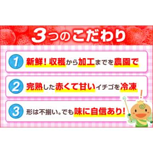 ふるさと納税 ふるなび限定 フローズンあまおう...の詳細画像1