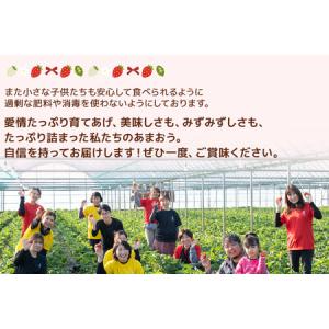 ふるさと納税 ふるなび限定 フローズンあまおう...の詳細画像4