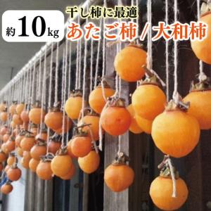ふるさと納税 柿 10kg かき 干し柿に最適 あたご柿 大和柿 徳島県吉野川市