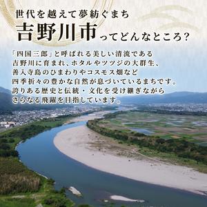 ふるさと納税 柿 10kg かき 干し柿に最適...の詳細画像1