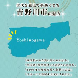 ふるさと納税 柿 10kg かき 干し柿に最適...の詳細画像2