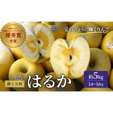 ふるさと納税 りんご 岩手 樹上完熟 はるか 約 5kg 14〜16玉 希少 極上品 フルーツ 果物...