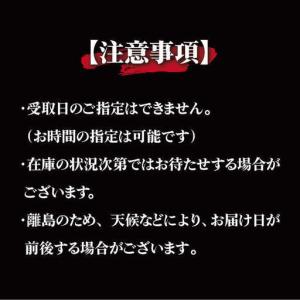 ふるさと納税 【全12回定期便】五島うどん地獄...の詳細画像4