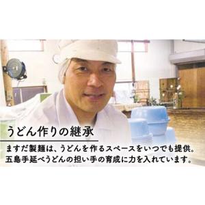 ふるさと納税 【全6回定期便】にじいろざるうど...の詳細画像2
