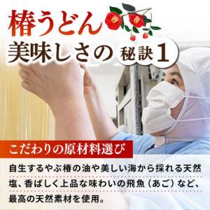 ふるさと納税 【全12回定期便】椿うどん300...の詳細画像2