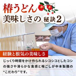 ふるさと納税 【全12回定期便】椿うどん300...の詳細画像3
